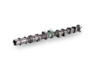 Schaeffler INA 428 0176 10 Nockenwelle