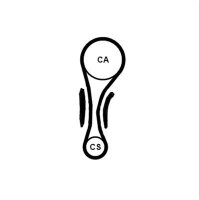 CONTINENTAL CTAM CT1210K1 Zahnriemensatz