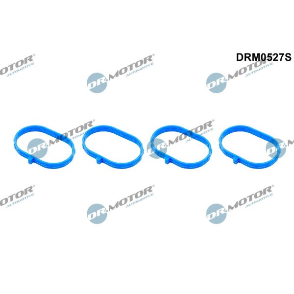 Dr.Motor Automotive DRM0527S Dichtungssatz, Ansaugkrümmer