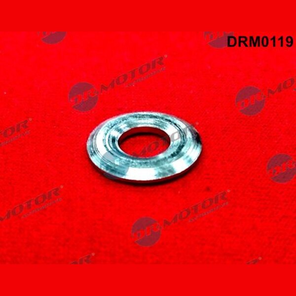 Dr.Motor Automotive DRM0119 Wärmeschutzscheibe, Einspritzanlage