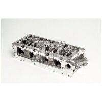 AMC 908836 Zylinderkopf