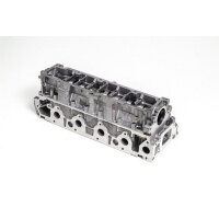 AMC 908933 Zylinderkopf