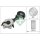 Schaeffler INA 534 0425 10 Riemenspanner, Keilrippenriemen