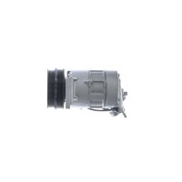 MAHLE ACP 666 000S Kompressor, Klimaanlage
