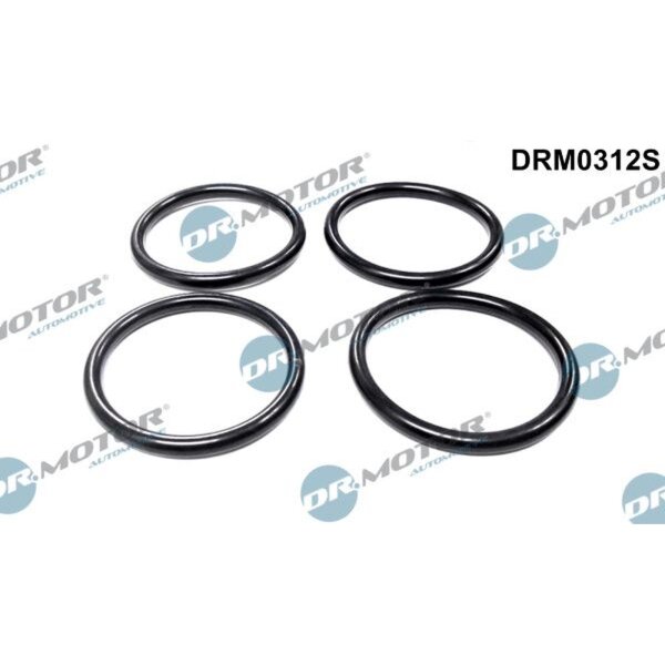 Dr.Motor Automotive DRM0312S Dichtungssatz, Ansaugkrümmer