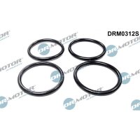Dr.Motor Automotive DRM0312S Dichtungssatz,...