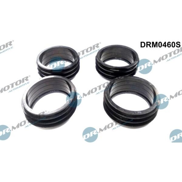 Dr.Motor Automotive DRM0460S Dichtungssatz, Ansaugkrümmer