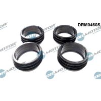 Dr.Motor Automotive DRM0460S Dichtungssatz,...