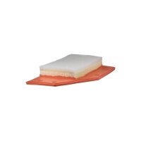 FILTRON AP 152/6 Luftfilter