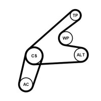 CONTINENTAL CTAM 6PK1306K3 Keilrippenriemensatz