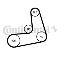 CONTINENTAL CTAM 6PK986K1 Keilrippenriemensatz