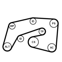 CONTINENTAL CTAM 7PK2035K1 Keilrippenriemensatz