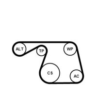 CONTINENTAL CTAM 6PK1310WP1 Wasserpumpe +...