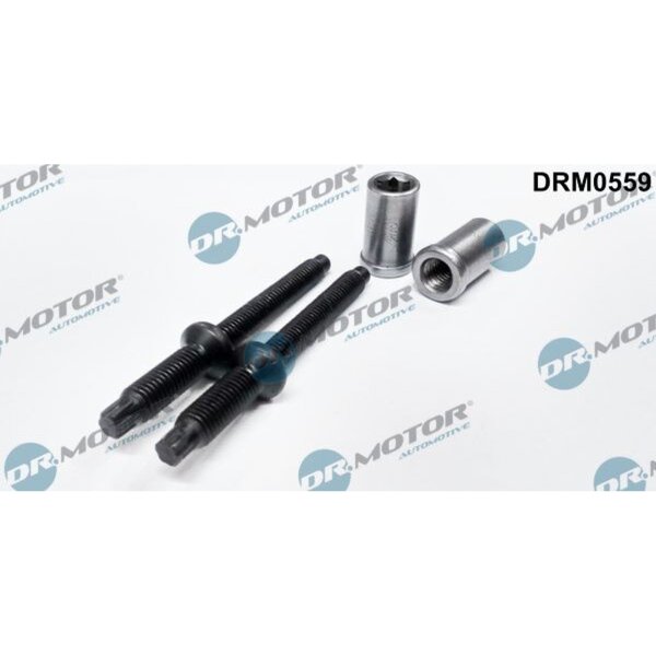 Dr.Motor Automotive DRM0559 Schraube, Einspritzdüsenhalter