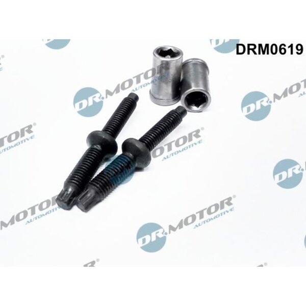Dr.Motor Automotive DRM0619 Schraube, Einspritzdüsenhalter
