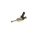 BOSCH 0 261 500 01A Einspritzventil