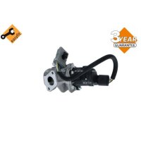 NRF 48385 AGR-Ventil