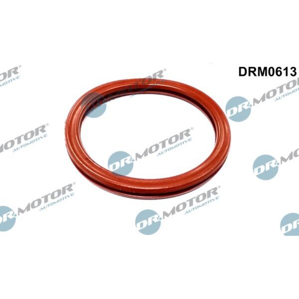 Dr.Motor Automotive DRM0613 Dichtung, Drosselklappenstutzen