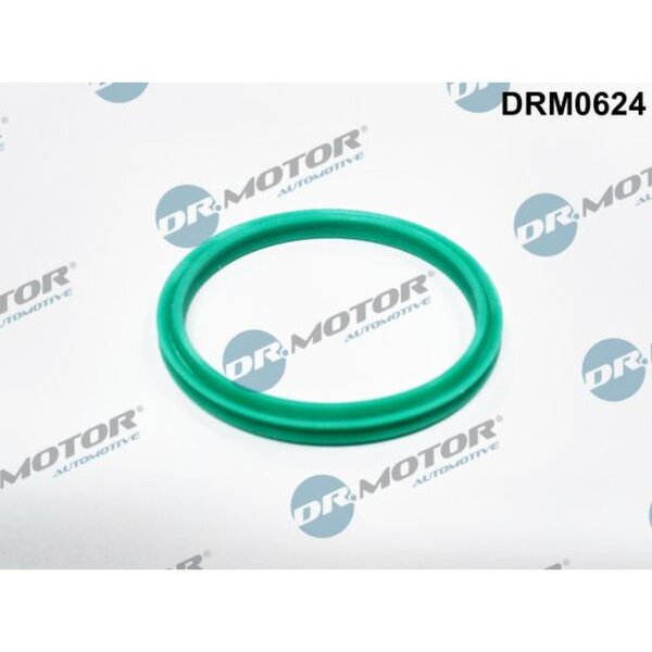 Dr.Motor Automotive DRM0624 Dichtring, Ladeluftschlauch