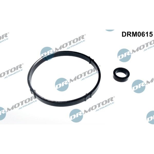 Dr.Motor Automotive DRM0615 Dichtungssatz, Ölkühler