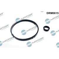 Dr.Motor Automotive DRM0615 Dichtungssatz,...