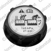CALORSTAT by Vernet ET0044C1 Ausgleichsbehälter,...