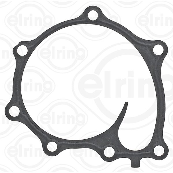 ELRING 925.200 Dichtung, Wasserpumpe