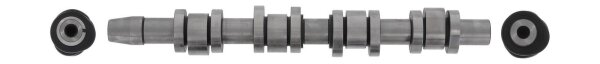 AE CAM1009 Nockenwelle