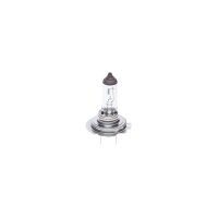 BOSCH 1 987 302 091 Glühlampe, Fernscheinwerfer