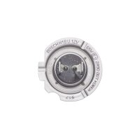 BOSCH 1 987 302 091 Glühlampe, Fernscheinwerfer