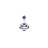 BOSCH 1 987 302 092 Glühlampe, Fernscheinwerfer