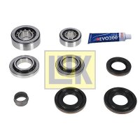 Schaeffler LuK 462 0215 10 Reparatursatz, Differential