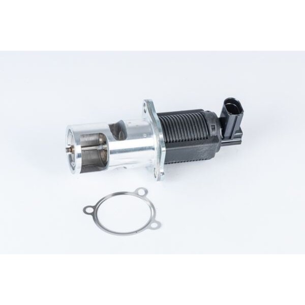 BorgWarner 710723D AGR-Ventil