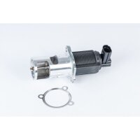 BorgWarner 710723D AGR-Ventil