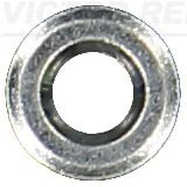 VICTOR REINZ 70-16736-00 Dichtring, Einspritzventil