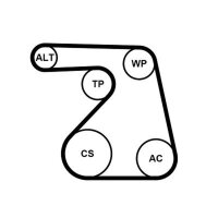 CONTINENTAL CTAM 6PK1217WP1 Wasserpumpe +...