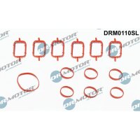 Dr.Motor Automotive DRM0110SL Dichtungssatz,...