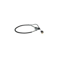 BOSCH 0 986 259 025 Sensor, Abgastemperatur