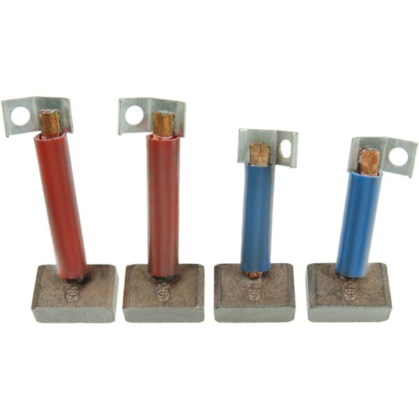 AS-PL BSX170-171(IKA) Kohlebürste, Starter