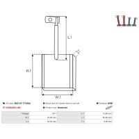 AS-PL BSX170-171(IKA) Kohlebürste, Starter