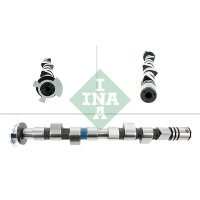 Schaeffler INA 428 0166 10 Nockenwelle