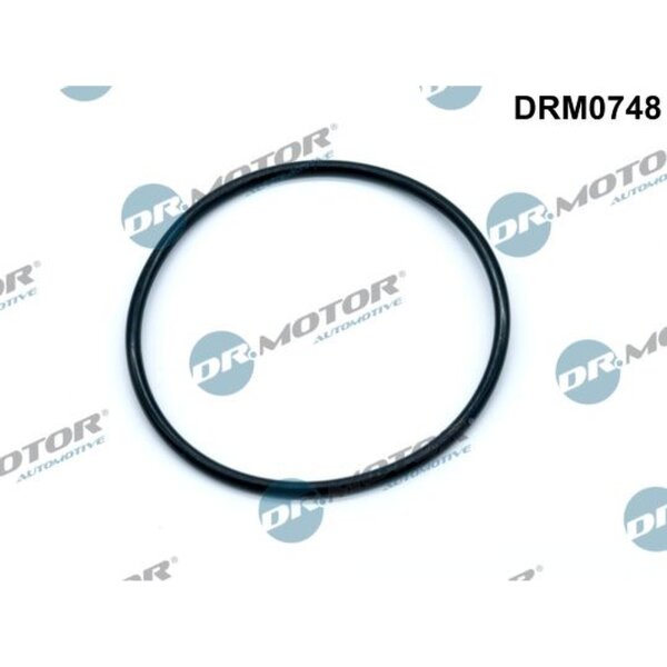 Dr.Motor Automotive DRM0748 Dichtung, Unterdruckpumpe