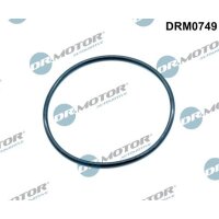 Dr.Motor Automotive DRM0749 Dichtung, AGR-Ventil