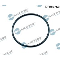 Dr.Motor Automotive DRM0750 Dichtung, Drosselklappenstutzen