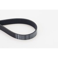 CONTINENTAL CTAM 8PK1162 EXTRA Keilrippenriemen