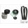 Schaeffler INA 529 0439 10 Keilrippenriemensatz