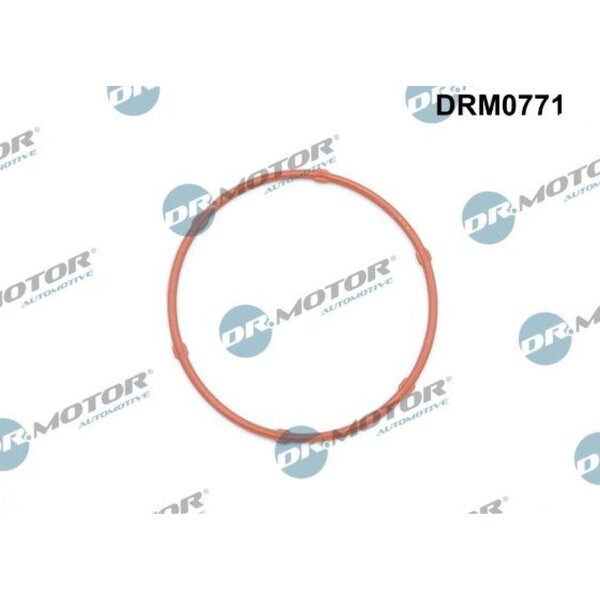 Dr.Motor Automotive DRM0771 Dichtung, Ölpumpe