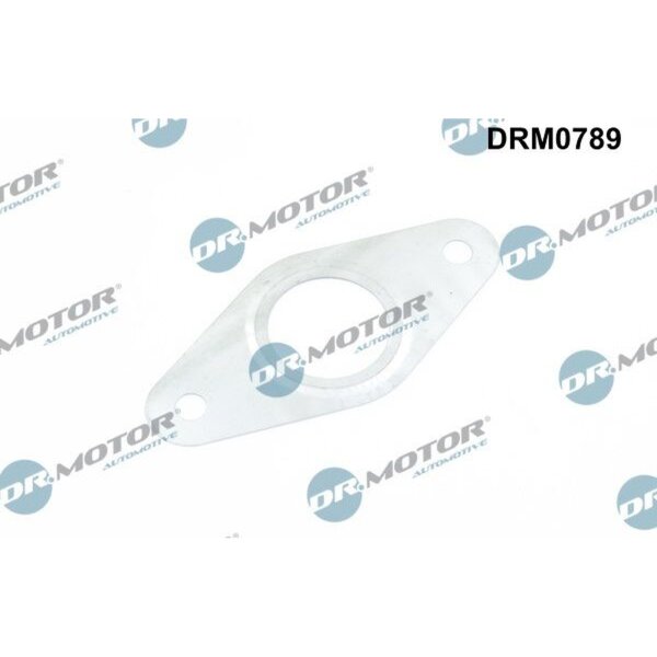 Dr.Motor Automotive DRM0789 Dichtung, Leitung AGR-Ventil