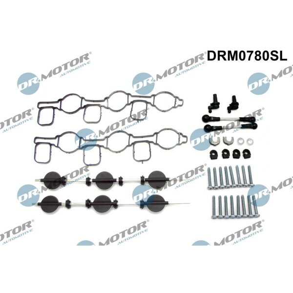 Dr.Motor Automotive DRM0780SL Reparatursatz, Saugrohrmodul