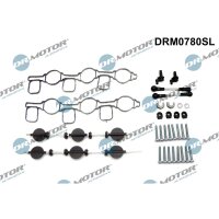 Dr.Motor Automotive DRM0780SL Reparatursatz, Saugrohrmodul